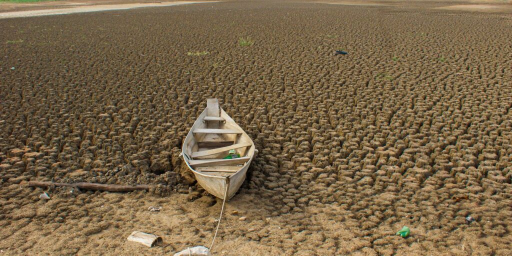 dia-da-amazonia-e-celebrado-com-el-nino-e-alerta-de-seca-intensa
